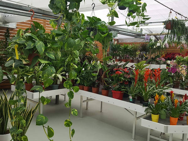 Agri Garden È Natali si rinnova con le soluzioni Orlandelli