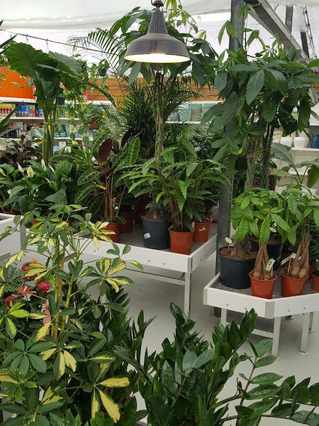 Agri Garden È Natali si rinnova con le soluzioni Orlandelli