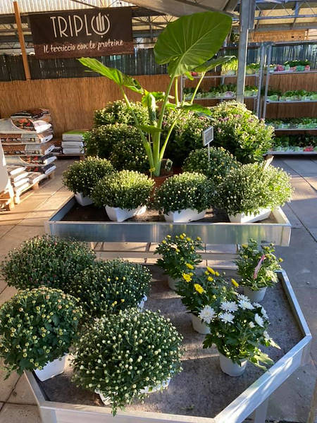 Agri Garden è Natali wird mit den Lösungen von Orlandelli renoviert