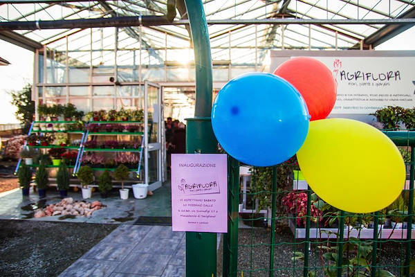 Agriflora: transformer une passion en travail