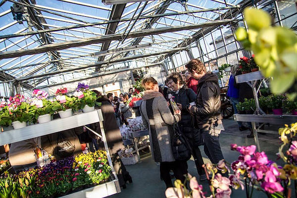 Agriflora: transformer une passion en travail