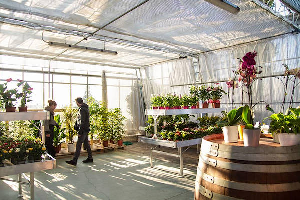 Agriflora: transformer une passion en travail