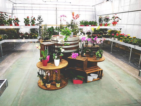 Agriflora: transformer une passion en travail