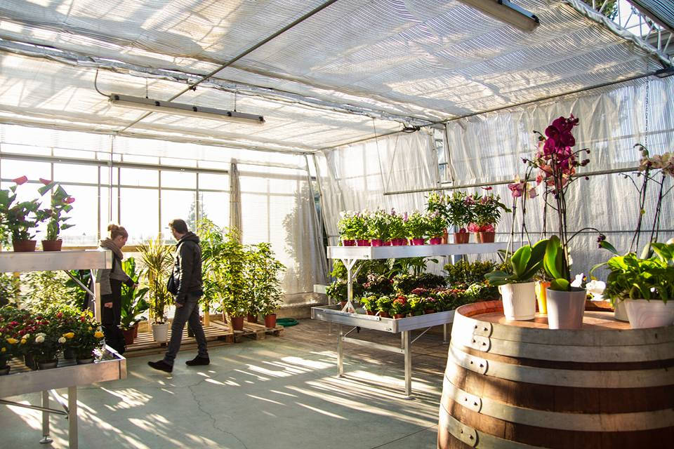 Agriflora: trasformare una passione in lavoro