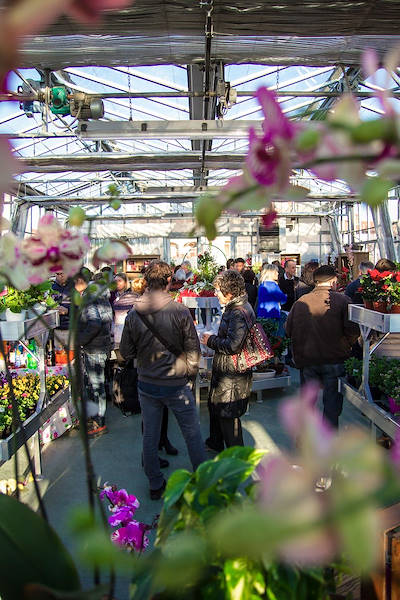 Agriflora: trasformare una passione in lavoro