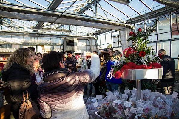 Agriflora: trasformare una passione in lavoro