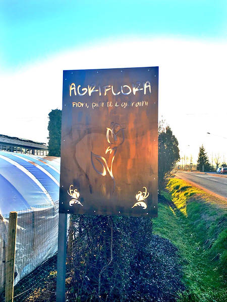Agriflora: trasformare una passione in lavoro