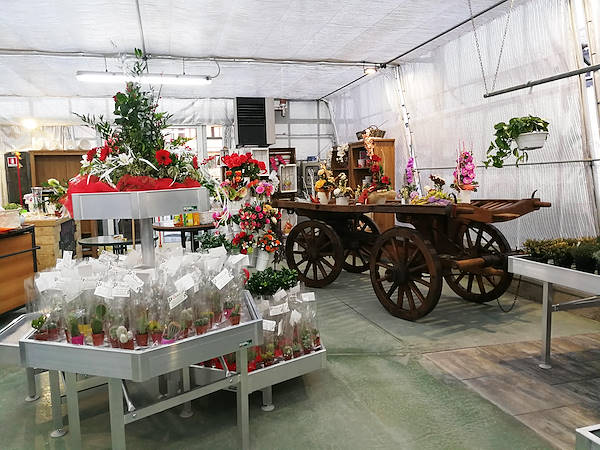 Agriflora: trasformare una passione in lavoro