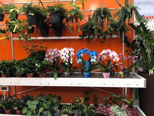 AgriGarden è Natali fait peau neuve grâce aux solutions déployées par Orlandelli