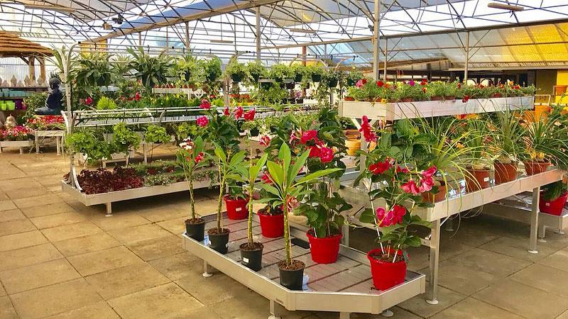 The restyling of Alfa Garden Center in Portugal