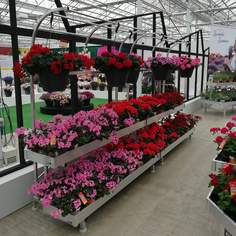 Alu-Wanddisplay - 2 Einlegeböden und Tischampelaufsatz