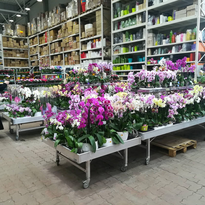 مقعد من لألومنيوم منخفض التكلفة مع العجلات