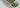 Ameublements pour plantes et fleurs