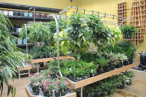 Мебель AMOR в новом интерьере отдела растений и цветов центра Urban Hardware