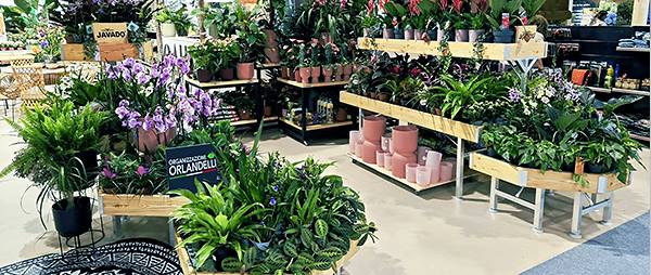 Einrichtung für Pflanzen und Blumen