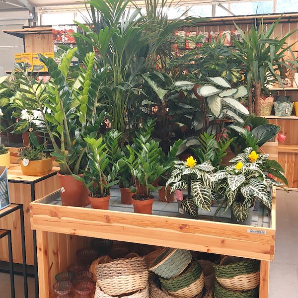 The Garden Center Il Tulipano Gets a Stylish Makeover