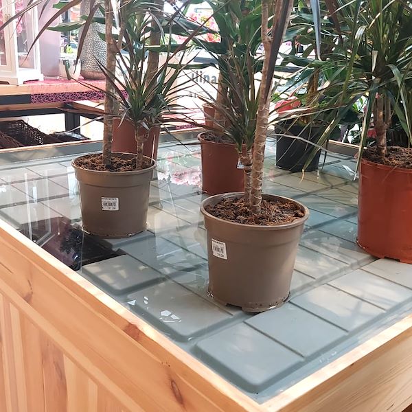 Il Garden Il Tulipano si rinnova con stile