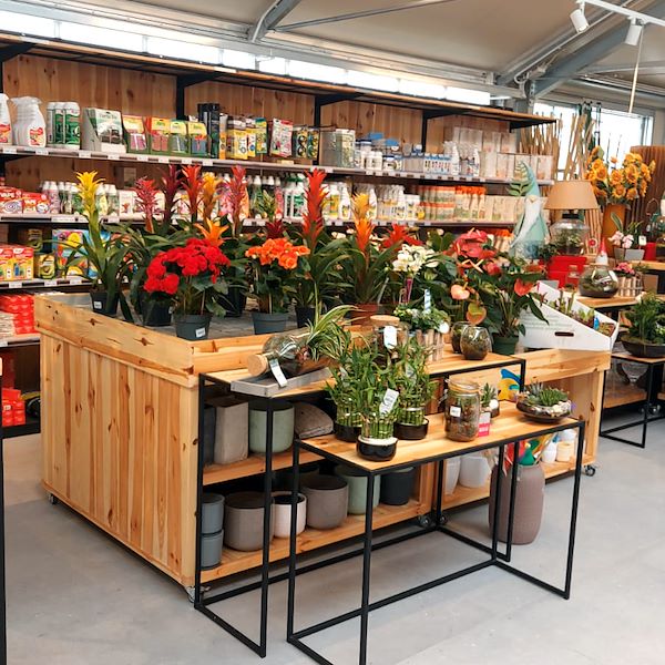 Das Gartencenter „Il Tulipano“ erstrahlt in neuem Stil