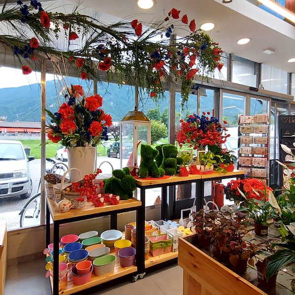 El Garden Center Il Tulipano se renueva con estilo