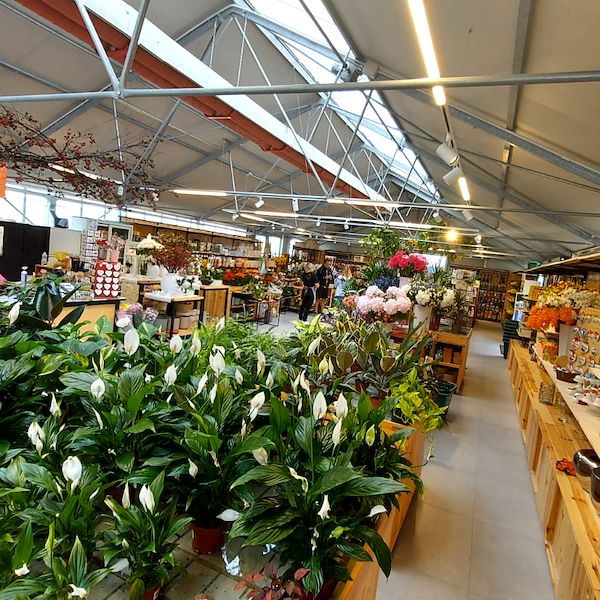 The Garden Center Il Tulipano Gets a Stylish Makeover