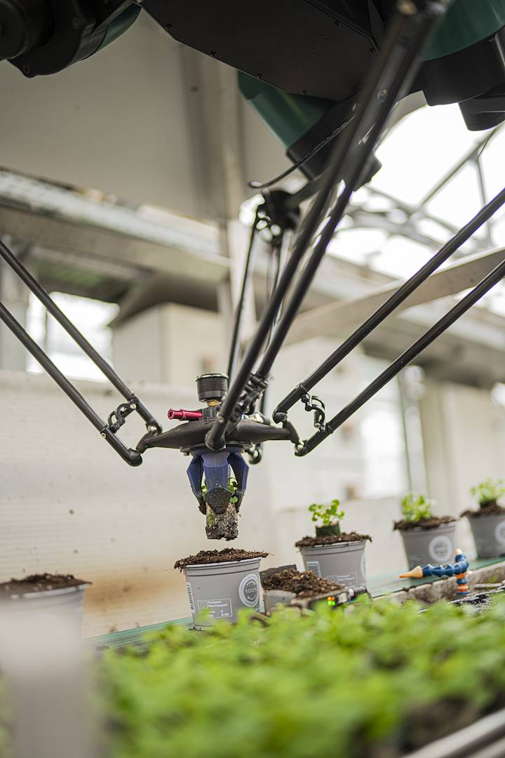 Le robot qui révolutionne l'agriculture arrive : une efficacité record dans les serres du futur