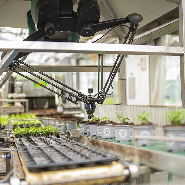 Le robot qui révolutionne l'agriculture arrive : une efficacité record dans les serres du futur