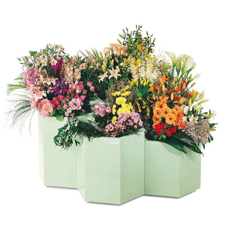 Ausstellungssystem mit Kuehlung Fior d'acqua