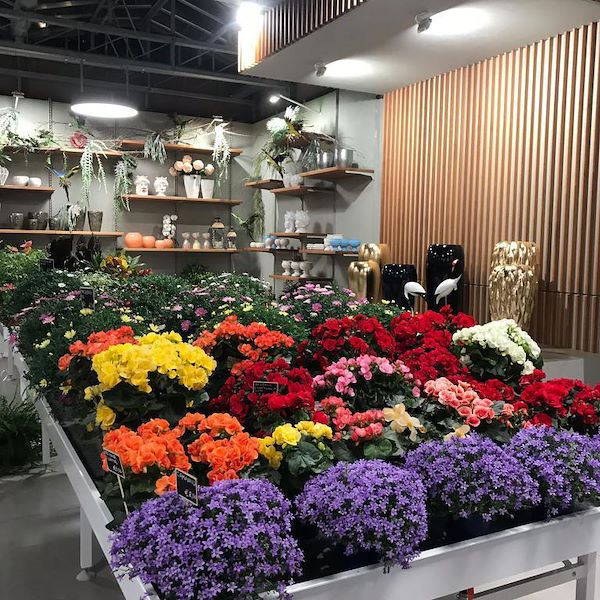 Bancale espositore fisso in alluminio da assemblare