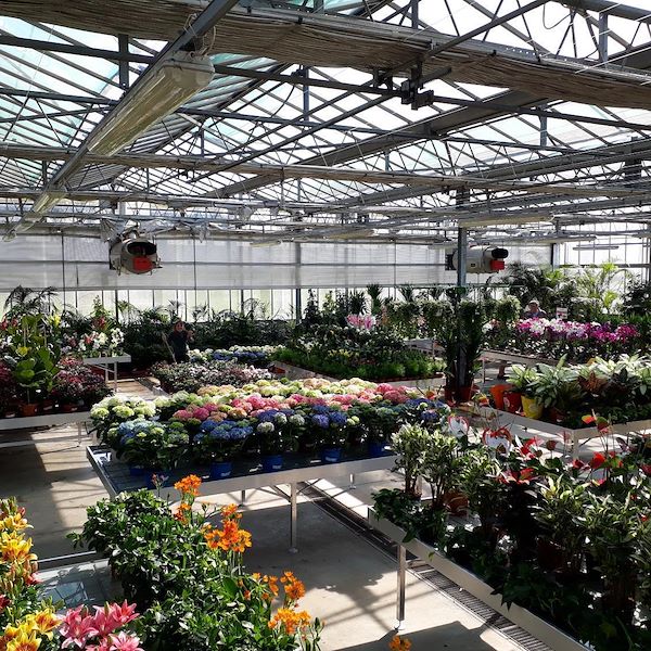 Bancale espositore fisso in alluminio da assemblare