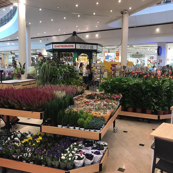 Table Ligne en bois AMOR