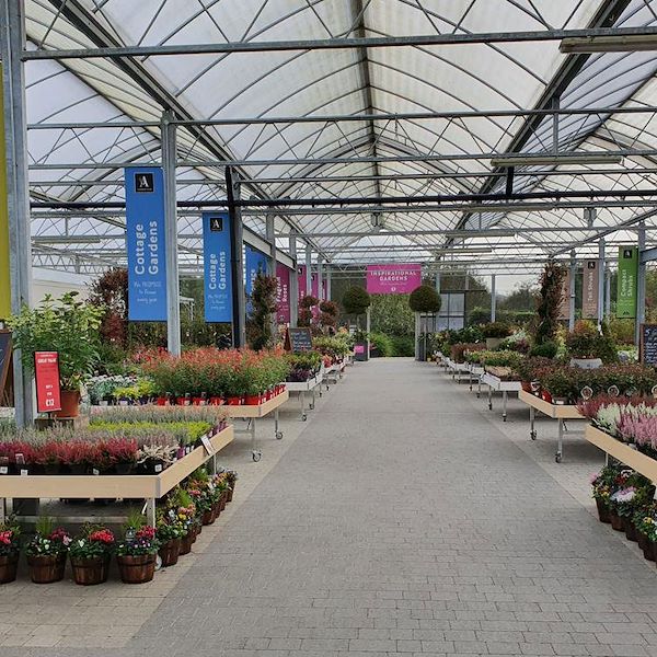 مقعد ذات أحرف خشب أمور