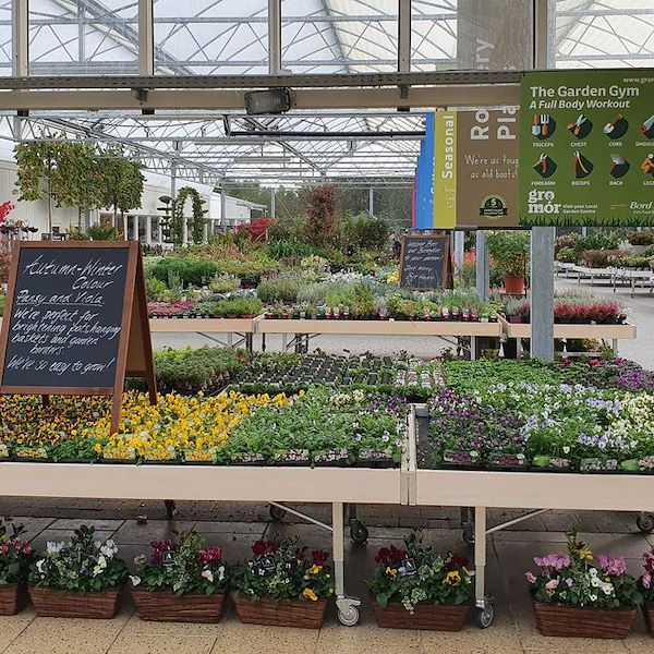 Bancale Linea Legno AMOR