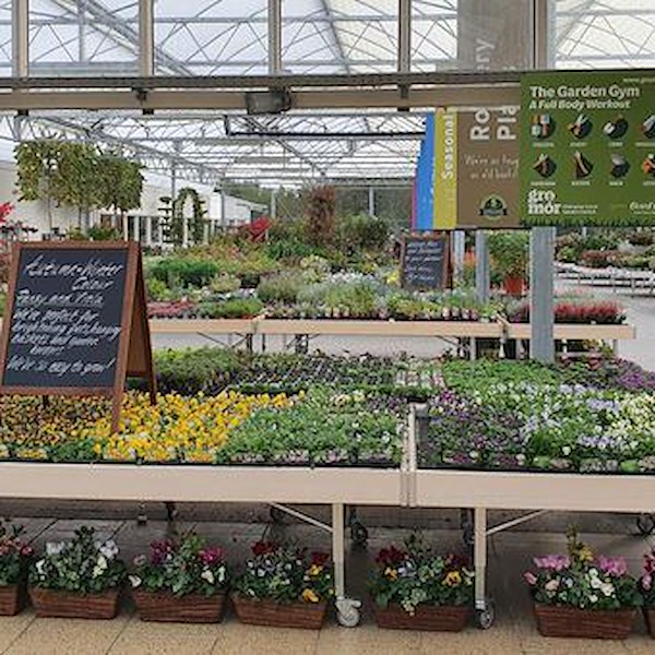 Table Ligne en bois AMOR