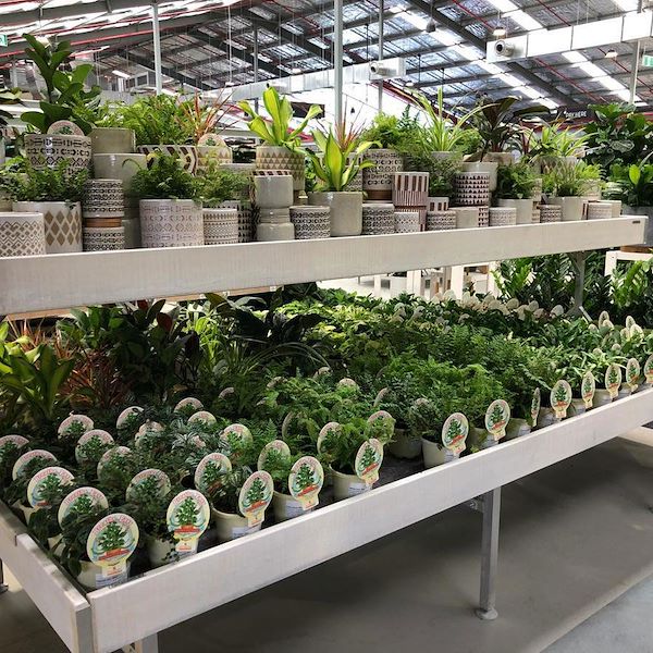 مقعد ذات أحرف خشب أمور