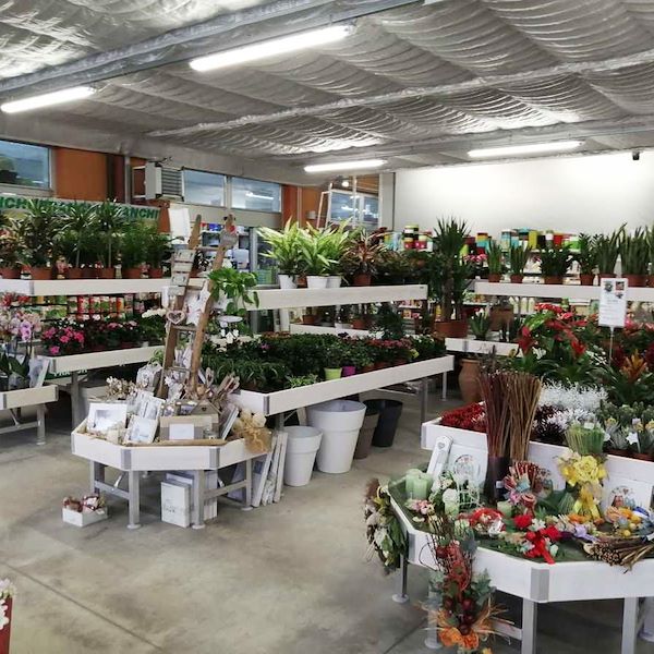 Bench, wood line AMOR