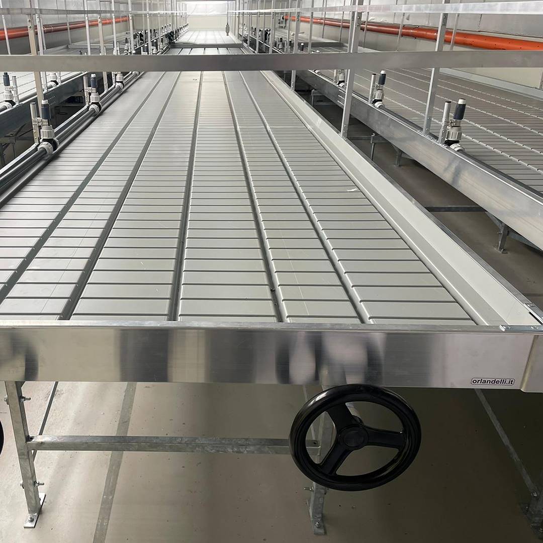 Rolltische mit Wasserreservoir für die Pflanzenproduktion