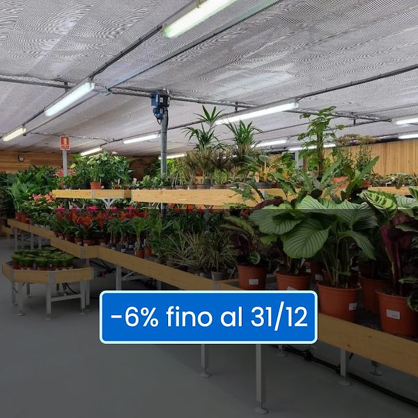 Credito d’imposta al 6% dall'1 gennaio 2022