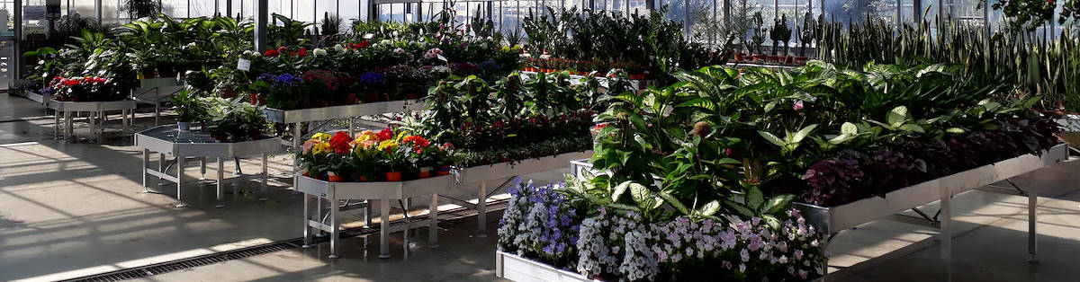 Le misure dei Bancali Espositori