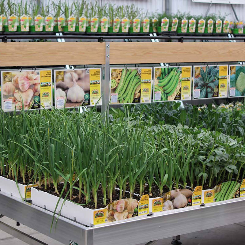 Barra porta schede in legno