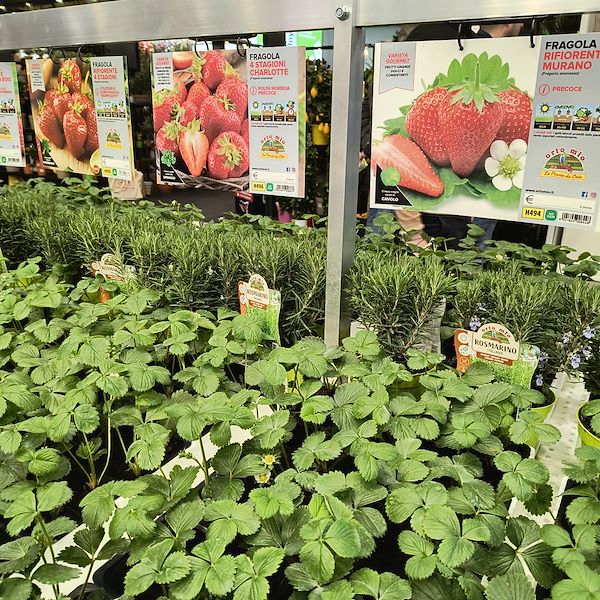 Kartenhalterstange aus Aluminium