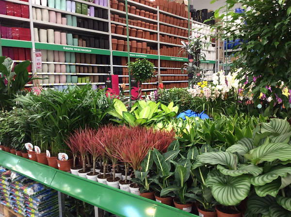 BauCenter is pleased to introduce its new plant and flower area