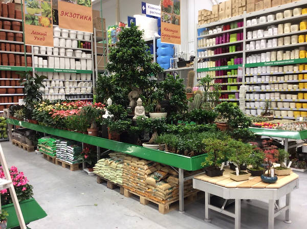 BauCenter is pleased to introduce its new plant and flower area