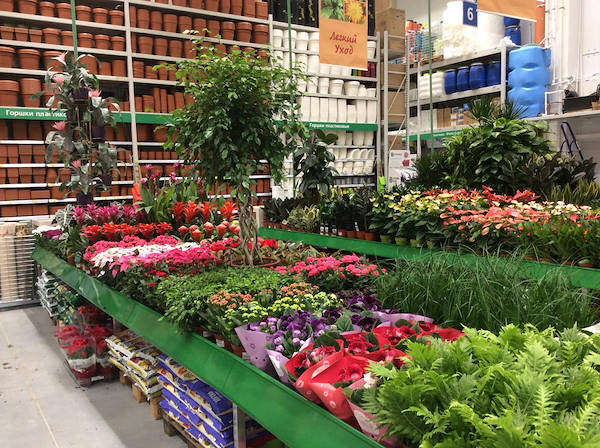 BauCenter is pleased to introduce its new plant and flower area