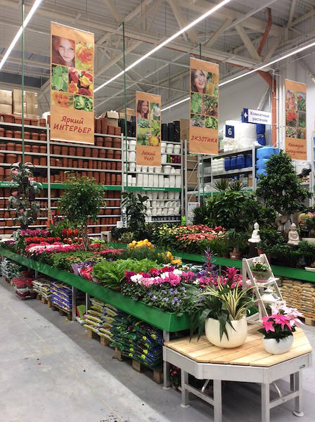 BauCenter presenta la nuova area piante e fiori