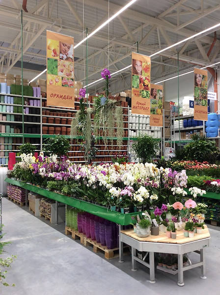 BauCenter presenta la nuova area piante e fiori