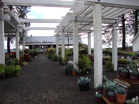 Blooming Nursery, Oregon – USA