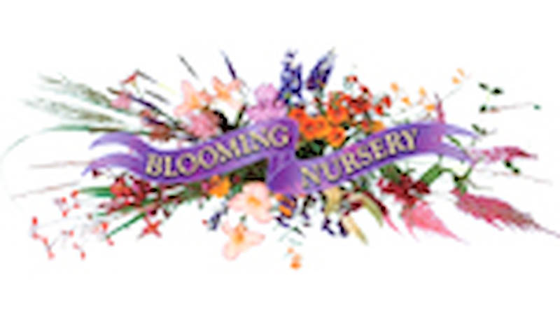 مشاتل  بلومينج ، أوريغون - الولايات المتحدة الأمريكية