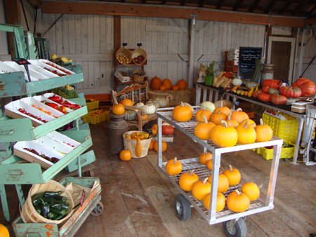 مشاتل  بلومينج ، أوريغون - الولايات المتحدة الأمريكية