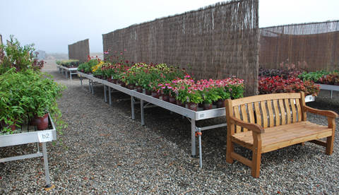 Blooming Nursery, Oregon (USA), un an après la fourniture de tables et présentoirs en aluminium