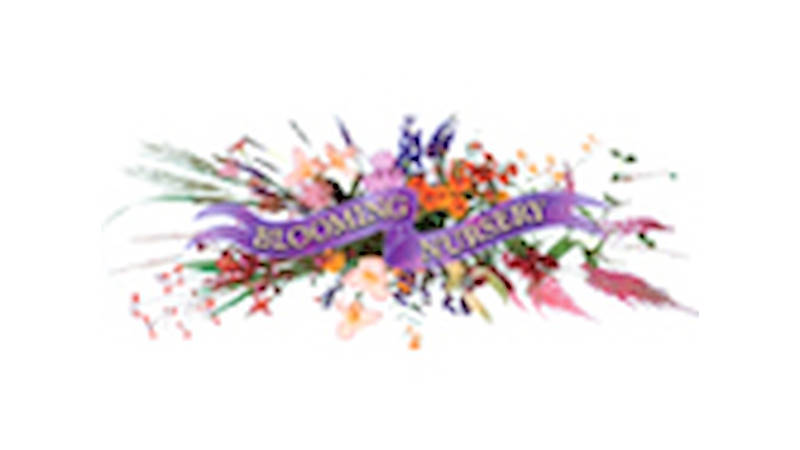 Blooming Nursery, Oregon (USA), un anno dopo la fornitura di bancali ed espositori in alluminio